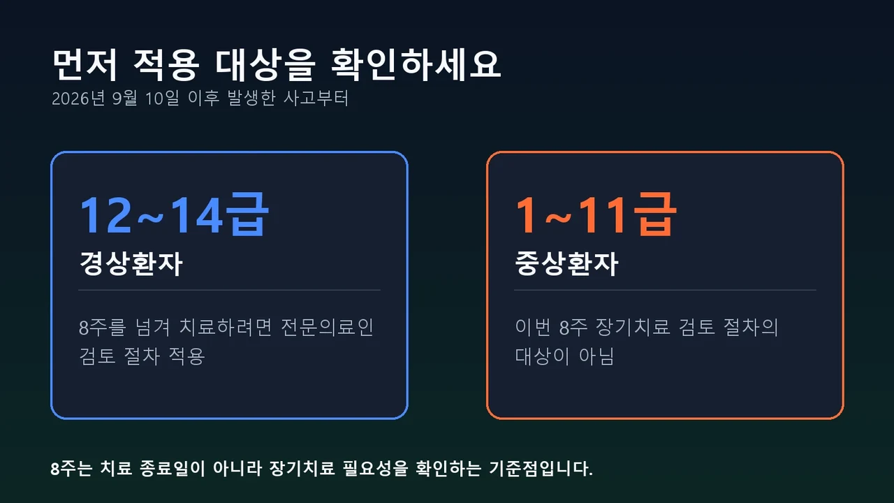 자동차보험 8주 룰의 적용 대상과 제외 대상을 정리한 안내 이미지